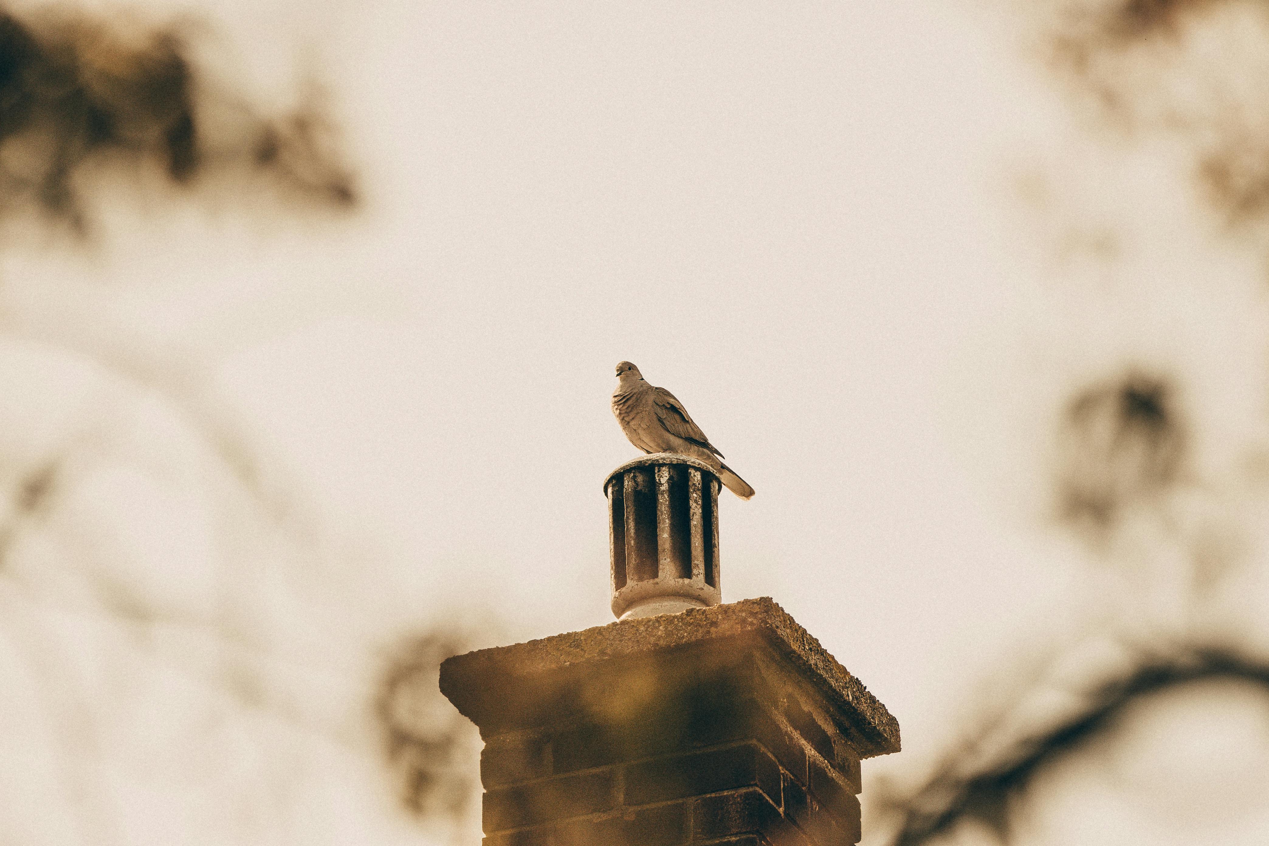 Expert Chimney Cap Installation in Artesia, California